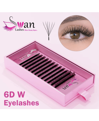 Swan 6DW Lashes - Length: 8-15 - Thickness: 0.07 - Type C