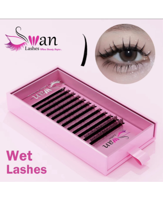 Swan Wet Lashes - Length: 8-15 - Thickness: 0.05 - Type D