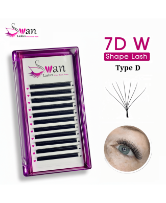 Swan 7DW Lashes – Type D