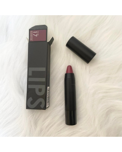 Velvet matte Lipstick -17