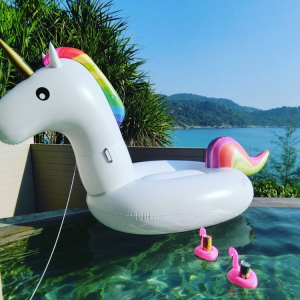 Inflatable unicorn pool Float Tube pool Adult Giant swimming pool